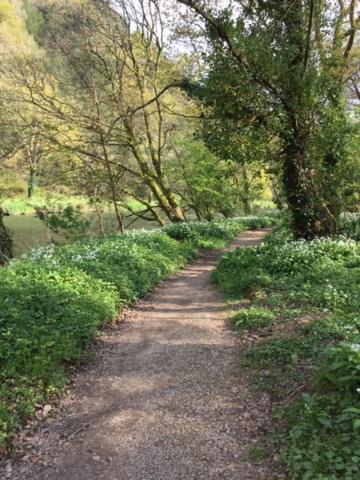 Riverside Stay Gunnislake Экстерьер фото