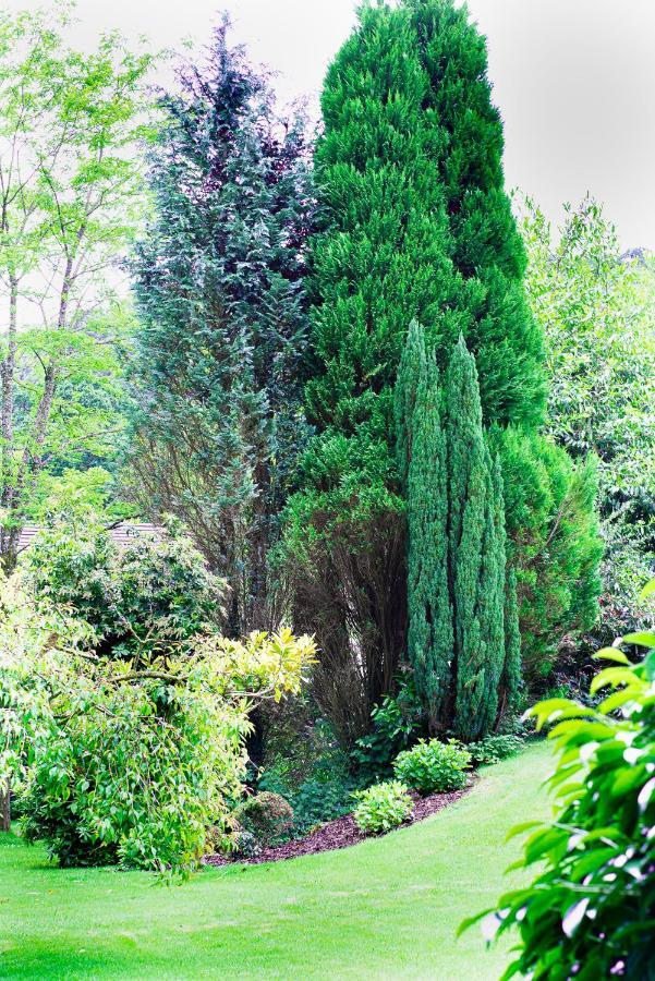 Riverside Stay Gunnislake Экстерьер фото